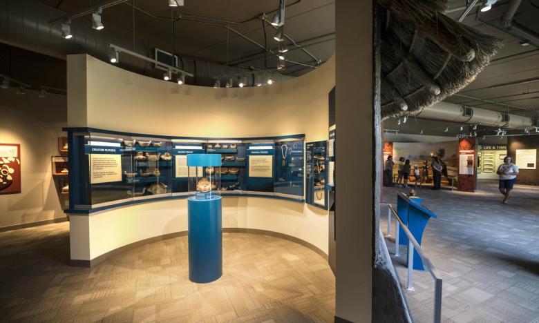 new exhibits at Hampson Archeological State Park